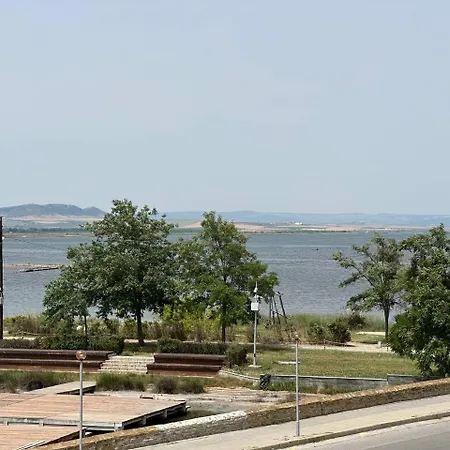 Apartament And